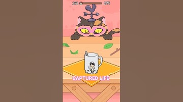 HIDE😺SEEK: CAT😺ESCAPE😺 LEVEL293😺WEDDINGDRESS #shortvideo #ytshort #games #gameplay #fun