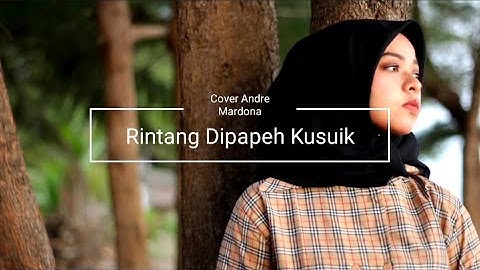 Rintang Dipapeh Kusuik | Cover Andre Mardona