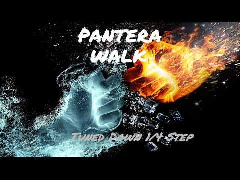 Pantera - Walk - Tune Down 1/4 Step (Db/C# Tuning)