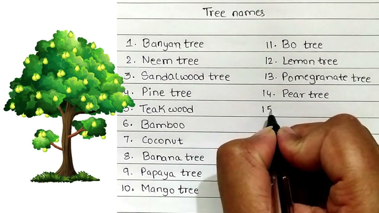Name Writing Tree Names Of Trees It's Not Everyday You Get The Chance To Name A Tree!