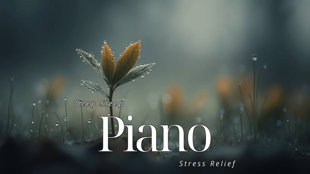 Soothing Piano for Relaxation | Calm Melodies & Stress Relief Music for ...