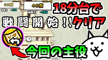 風雲にゃんこ塔 18階