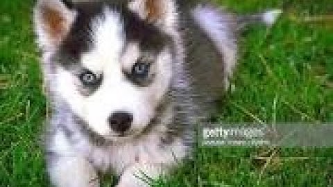 how to make a adventure game on scratch part 2 review