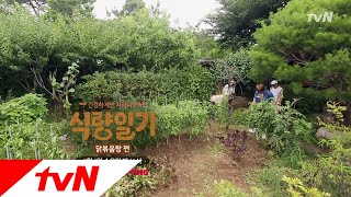 fooddiary 처음으로 떠난 농장!! 그런데 왜 또.. 농장..?? 180801 EP.9