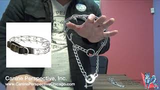 Quick Release Prong Tutorial And Styles Of Prong Collars To Avoid