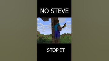 STEVE I