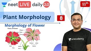 NEET: Plant Morphology - L8 | Class 11 | Live Daily 2.0 | Unacademy NEET | Pradeep Sir