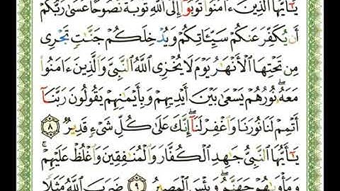 سورة التحريم 66 - 114 شيرزاد عبد الرحمن طاهر - قراءة مرتلة
