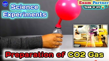 Metal carbonates react with acids to produce salt and carbon dioxide | Acids & Bases | #experiment