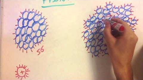 Mass deficit and binding energy in FISSION