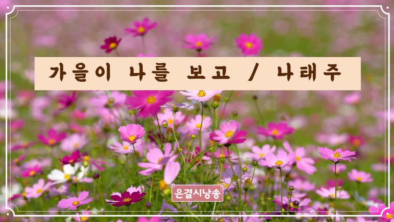[가을에 듣기 좋은 시] 가을이 나를 보고 - 나태주 - YouTube