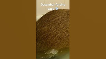 Your month your capybara part 4!#shorts