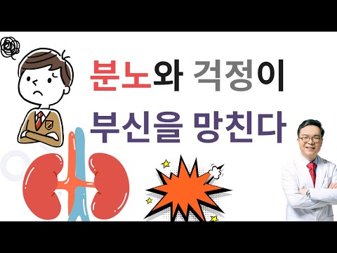 부신피로를 만드는 2가지 대표 감정. 부신의 기능과 부신피로 탐구