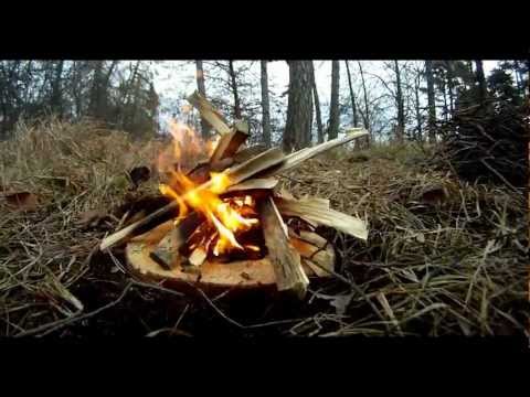 Video: Jak Dělat Oheň V Lese