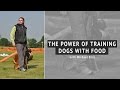 The Power of Training Dogs with Food The Power of Training Dogs with Food
