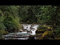 Calm the Mind,Natural Sounds for Rest and Relaxation.ASMR