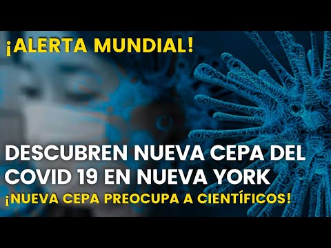 ¡Alerta Mundial! Descubren