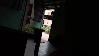 How To Views Content Upload