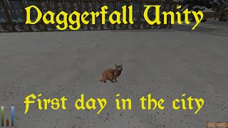Daggerfall Unity — 03 — First Day in Chesterwark