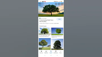 How To Download A Image In Google 