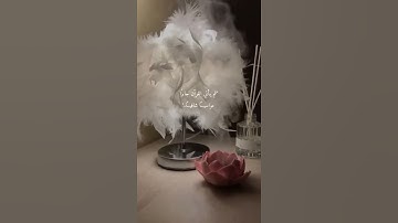 القران الكريم 💖🤲 من اعرض عن ذكري🌿🤍حالات واتس اب قران//آيات قرانية قصيرة//ستوريات انستقرام#بدون_حقوق💙