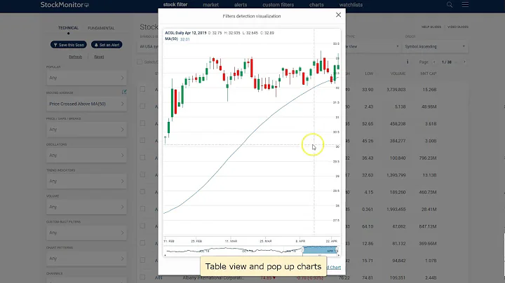 What is a stock monitor? (2025)