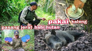 kita coba teknik baru pasang jerat babi hutan pake tutup kaleng 😁