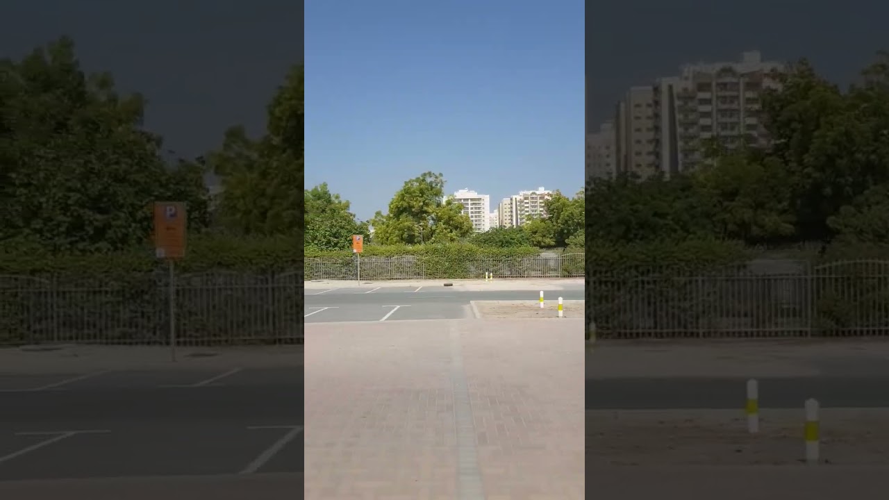 Pond park Dubai 🌴🌻