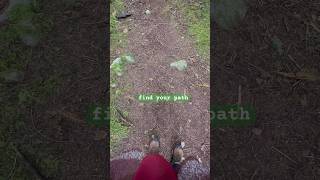 Find your path inspiration! #motivation #findyourpath #shortsfeed #shortsvideo #naturetherapy #life