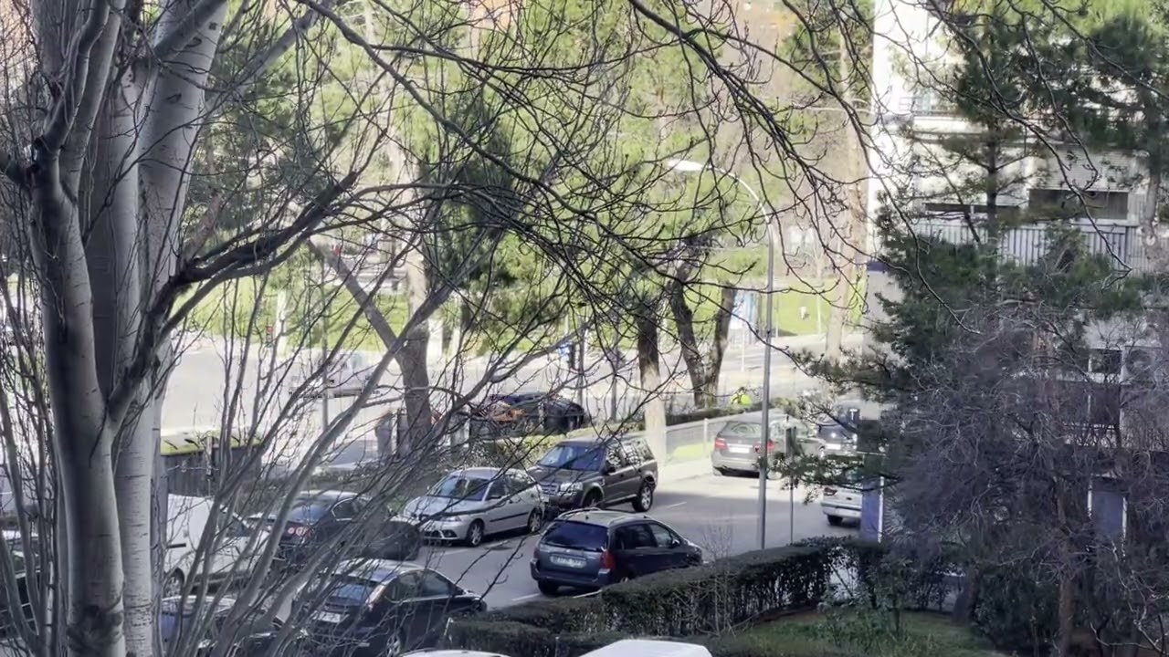 Ritmo Urbano Acelerado: Autos, Buses y Personas en Velocidad x5 / 4K