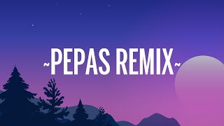 [1 HORA 🕐] Farruko - Pepas Remix (Letra/Lyrics)