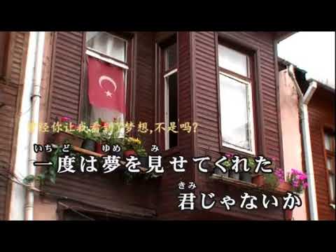永遠の嘘をついてくれ  中島みゆき my cover