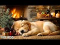 12 Hours Chilling Dog Music🎵Calming Music for Dog Deep Sleep🐶Dog separation anxiety music💖No Ads