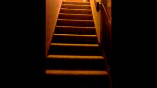WP 20150106 06 31 05 Pro