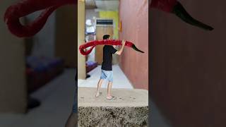 creative videography and photography idea #creativevideoidea #creativeidea #chilies #shortvideo