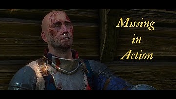Missing in Action - The Witcher 3