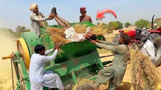 Legendary Fiat 480 U0026 Mf 385 Tractor Performance On Wheat Thresher Machine   Process 2026  4k
