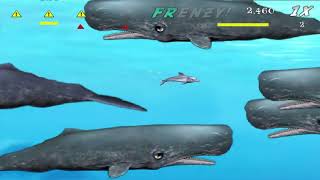 Feeding Frenzy Rapid Rush - All Battle + Survival screenshot 5