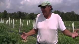 EM farming in Maryland (1 of 3)