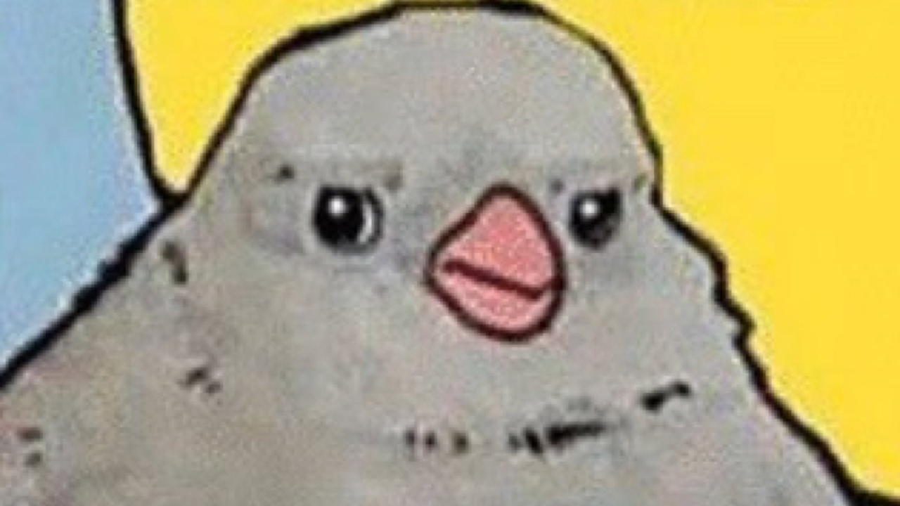Bird meme. Annoying Bird meme. БИРБ Мем. Annoyed Bird. Надоедливая ворона
