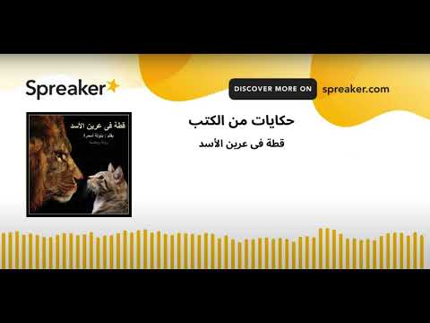 قطة فى عرين الأسد