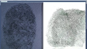 Basic AFIS Search - The Basics