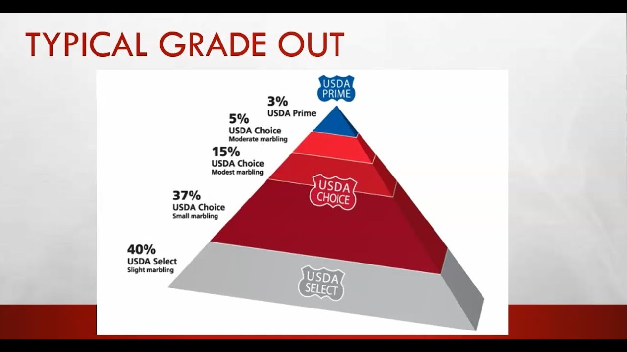 #2 Grading, Labels & Aging - YouTube