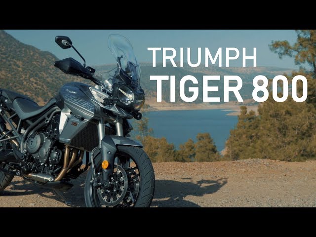 Video: Nova Triumph Tiger 800 no Marrocos - Webmotors