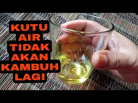 Video: Cara Membuat Penolak Kutu Dan Kutu Alami