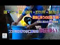 【アシカ】【ペンギン】最後に笑うのは誰だ!?(笑)(伊勢シーパラダイス/水族館)