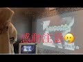 Kaoru Amane タイヨウのうた 歌詞 動画視聴 歌ネット Kaoru Amane タイヨウのうた 歌詞 動画視聴 歌ネット