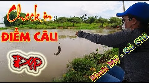 Câu Cá Trê Sông Sài Gòn Cá Nhỏ Mà Thật Thú Vị | Check In Điểm Câu Bình Mỹ Củ Chi