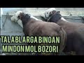 TALABLARGA BINOAN MINDON MOL BOZORI