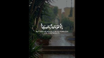 سورة هود | الآية 56 القارئ ماهر المعيقلي